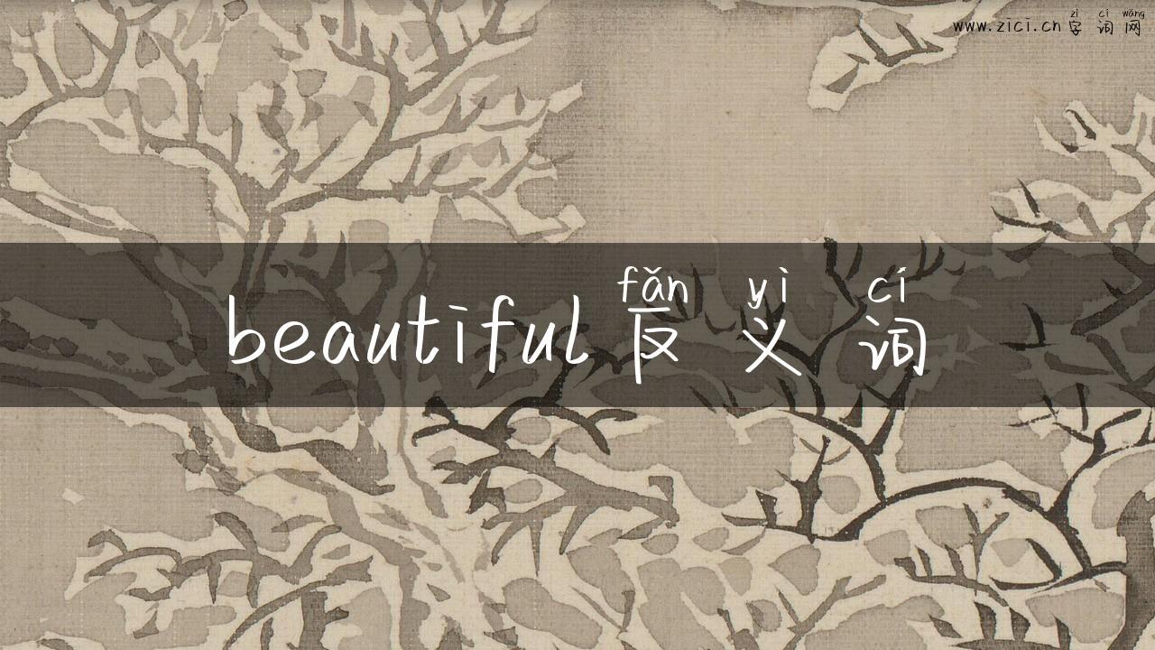 beautiful反义词
