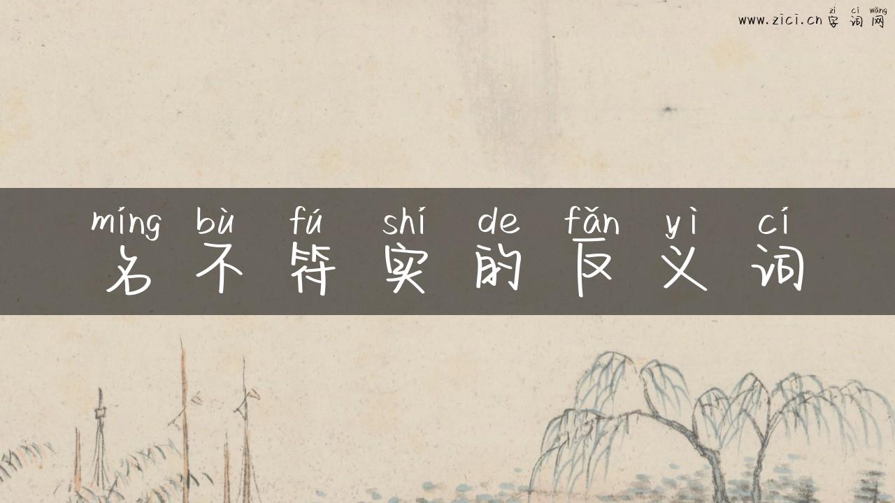 名不符实的反义词