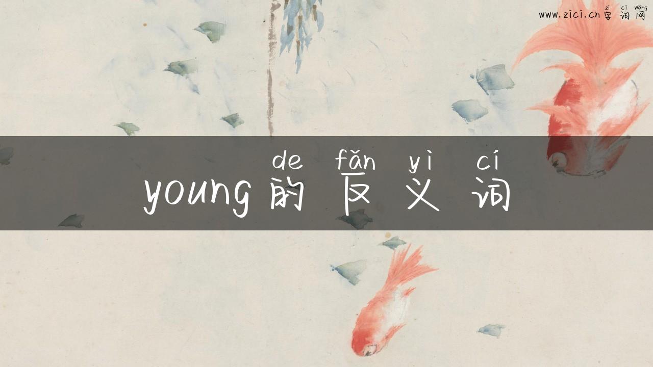 young的反义词