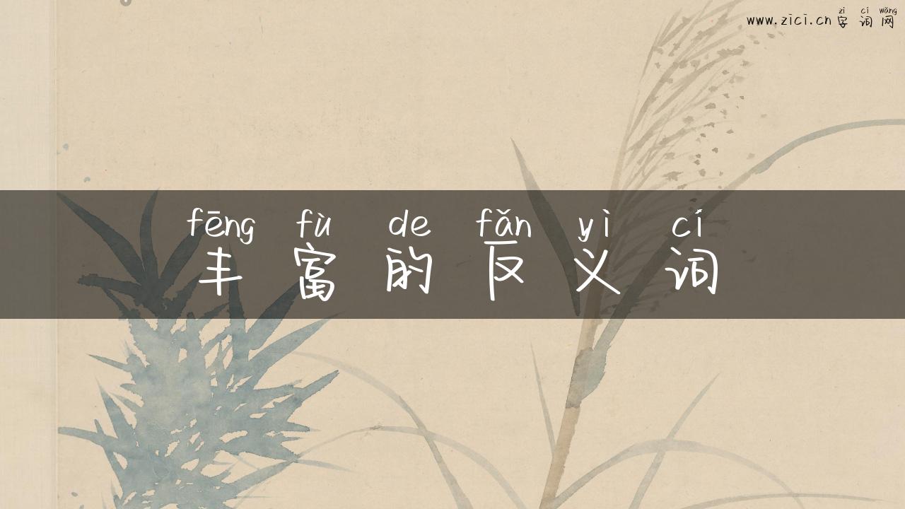 丰富的反义词