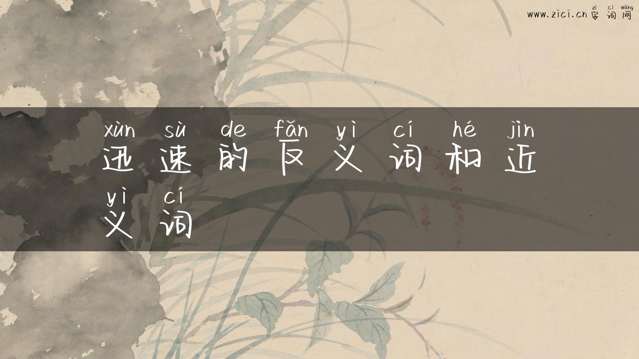 迅速的反义词和近义词