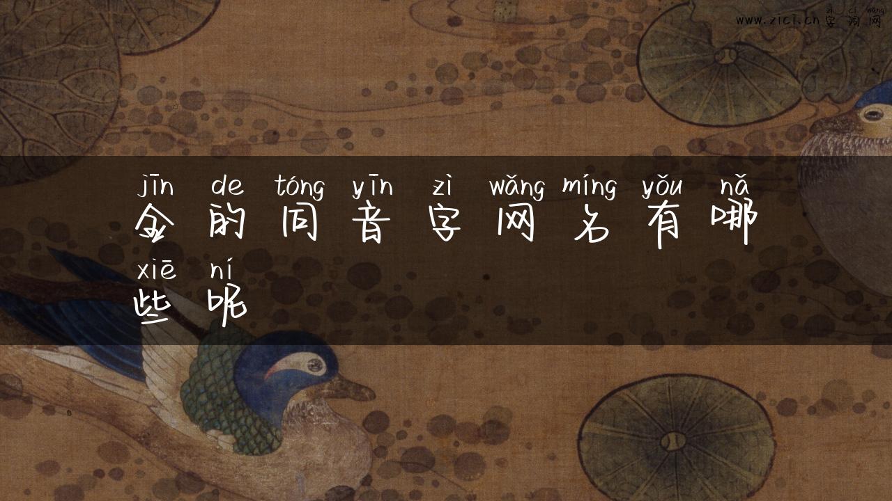 金的同音字网名有哪些呢