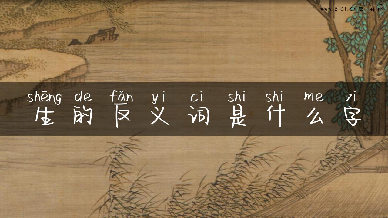 生的反义词是什么字