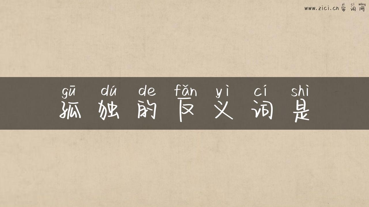 孤独的反义词是