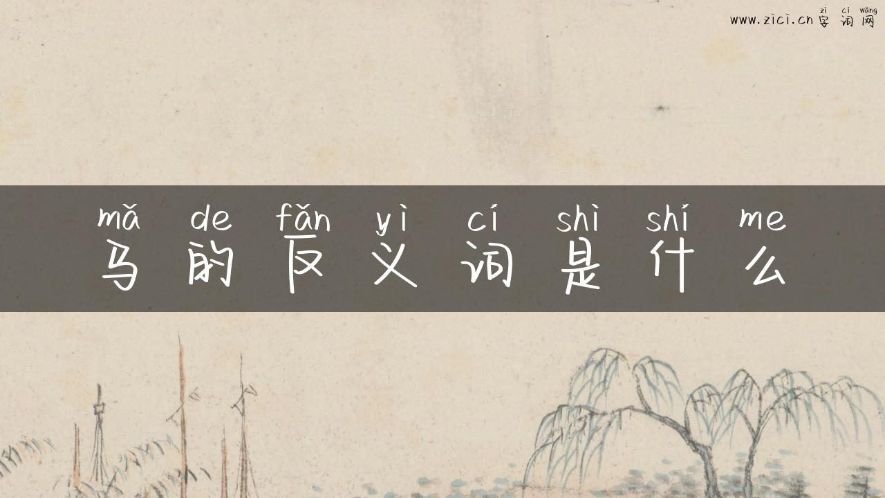 马的反义词是什么