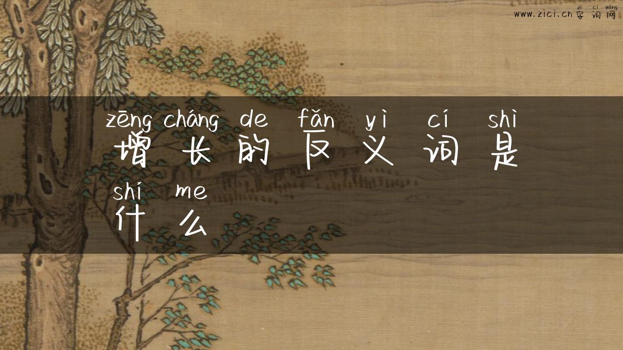 增长的反义词是什么