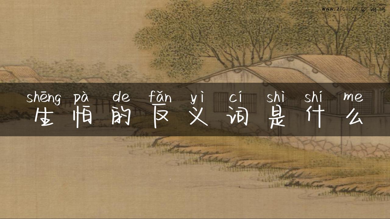 生怕的反义词是什么