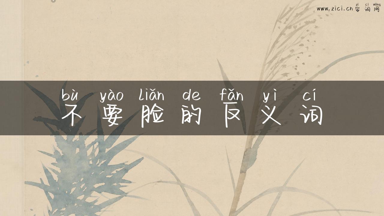 不要脸的反义词