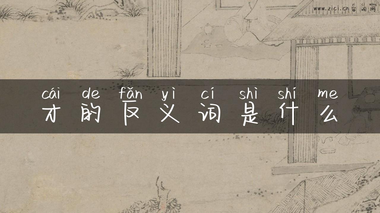 才的反义词是什么