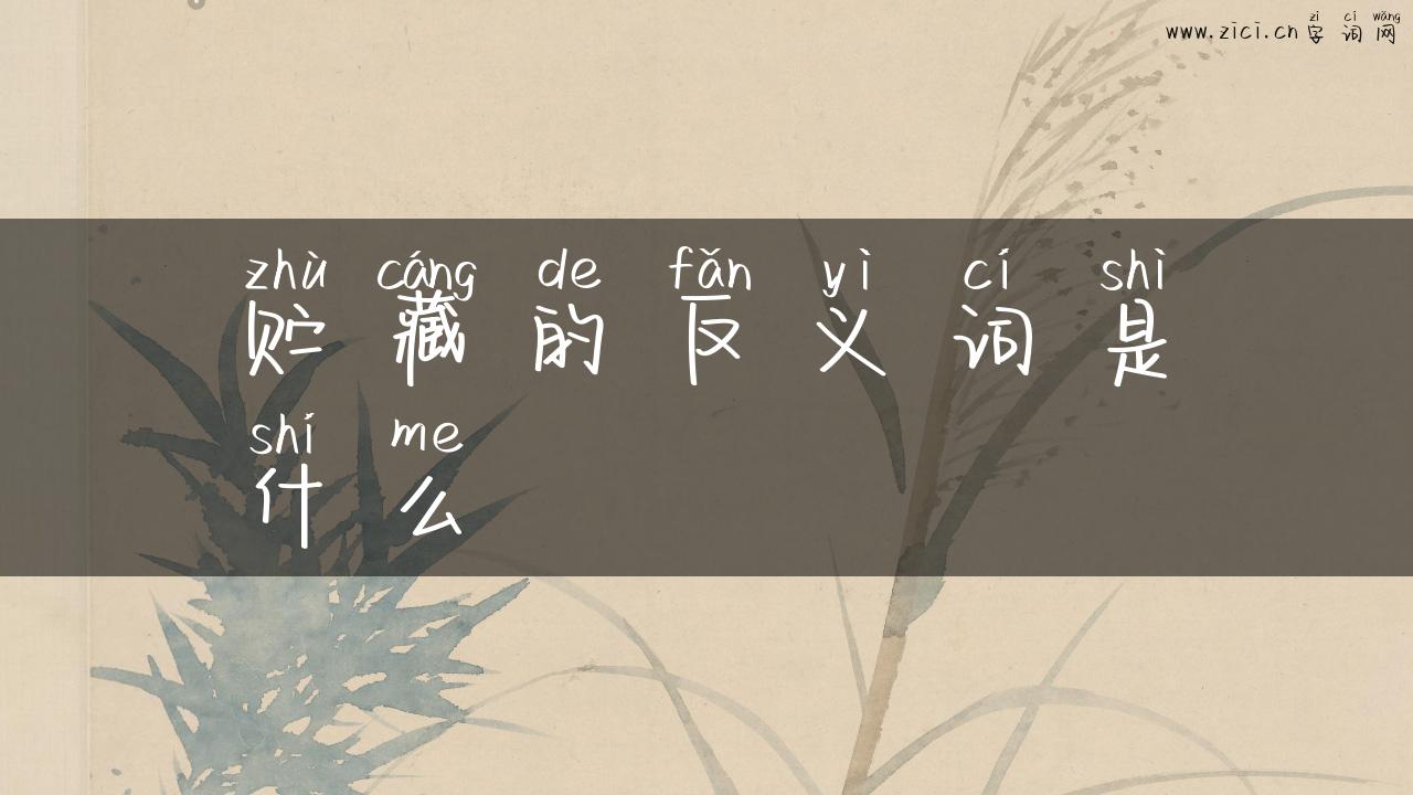 贮藏的反义词是什么