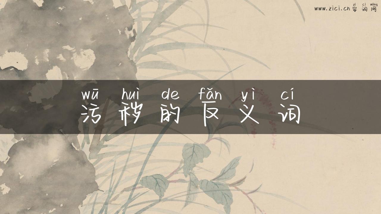 污秽的反义词