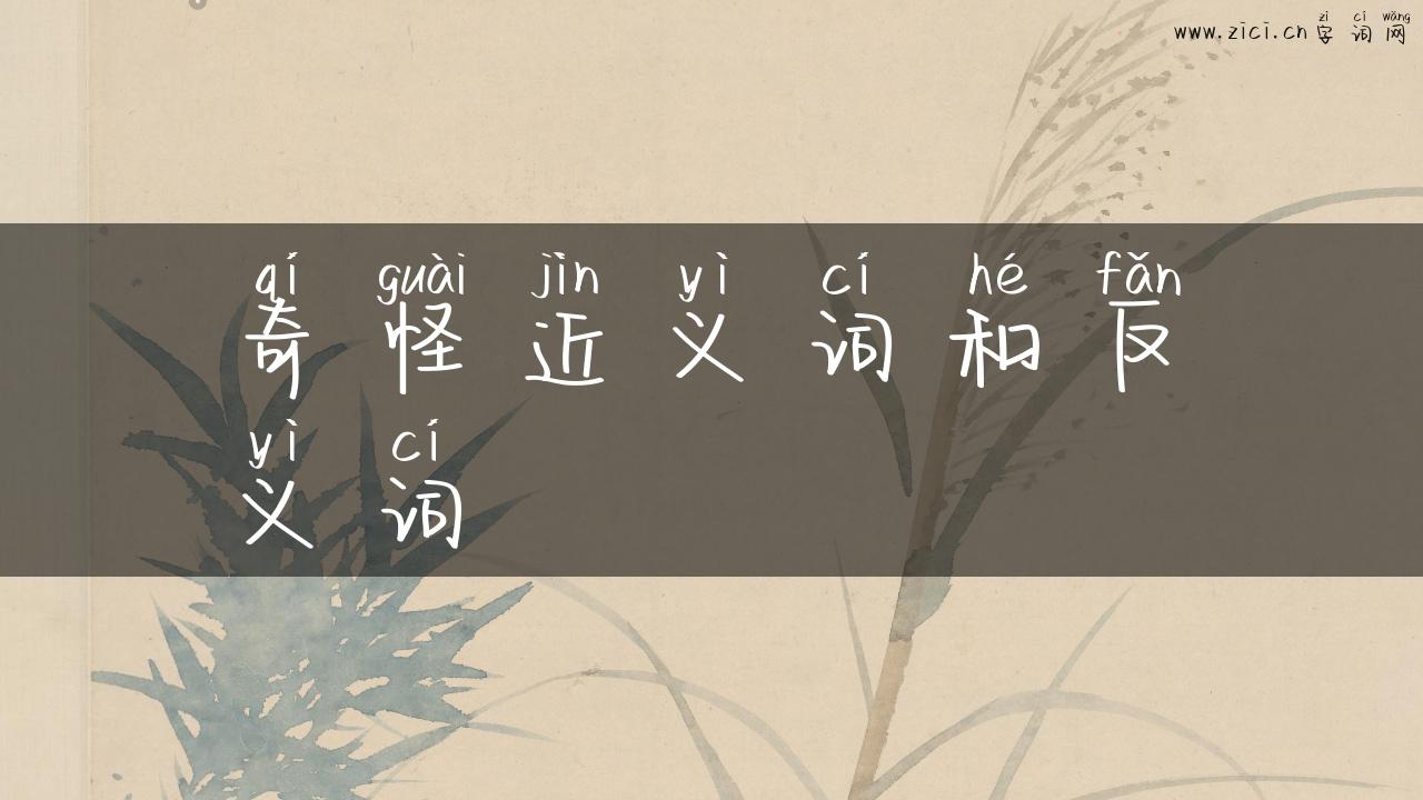 奇怪近义词和反义词