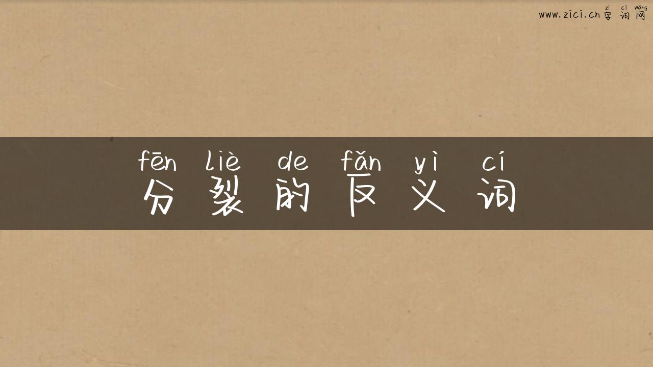 分裂的反义词