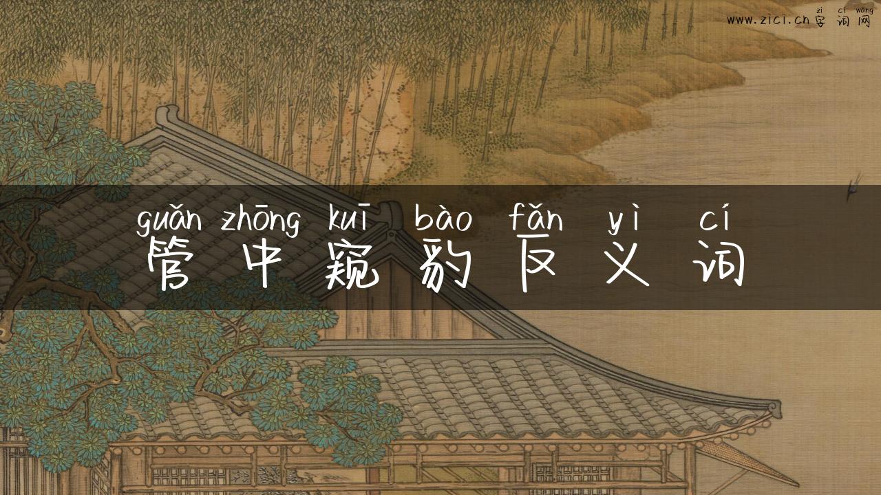 管中窥豹反义词