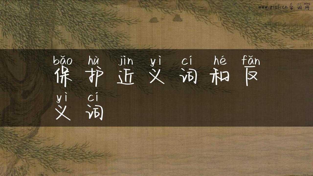 保护近义词和反义词
