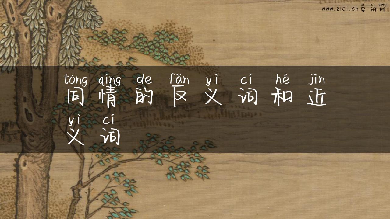 同情的反义词和近义词