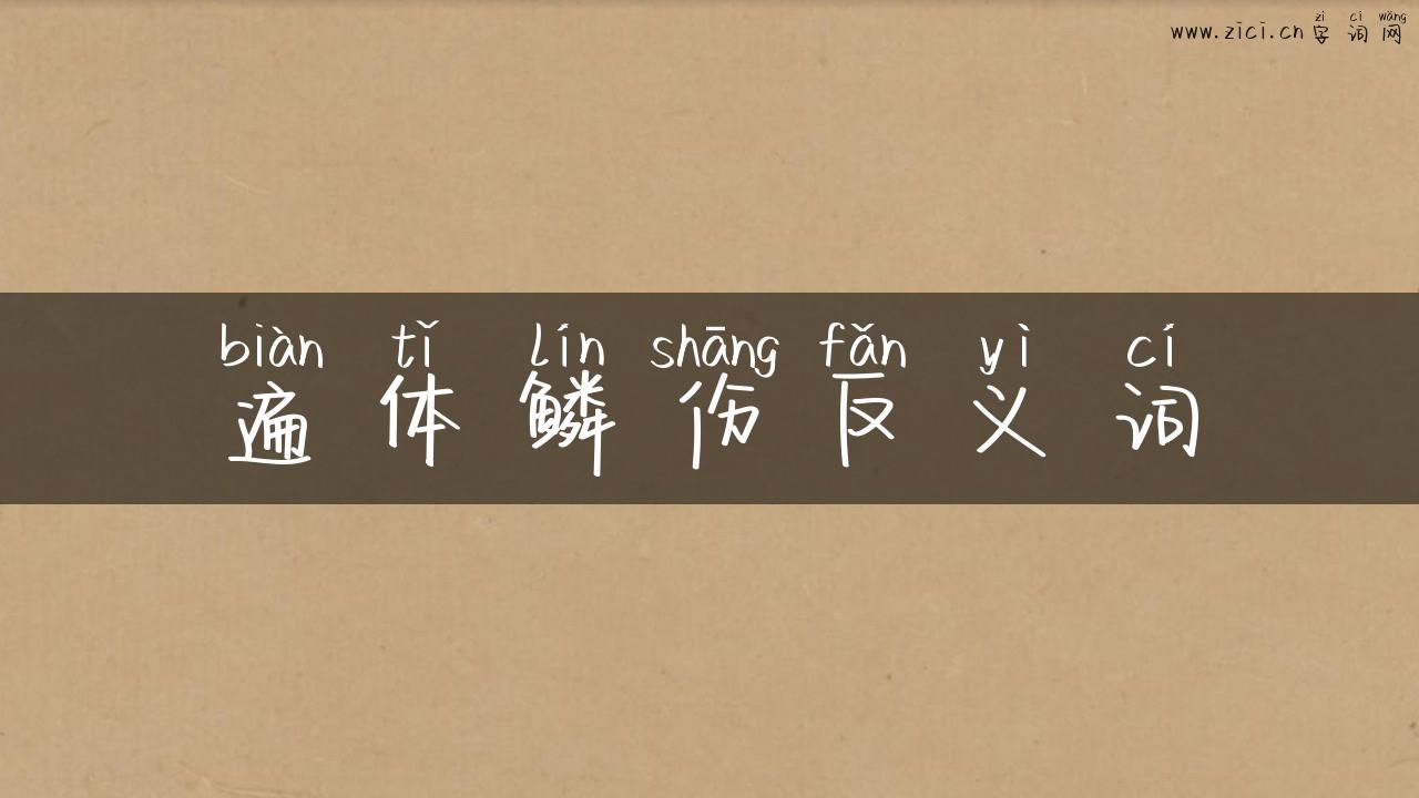 遍体鳞伤反义词