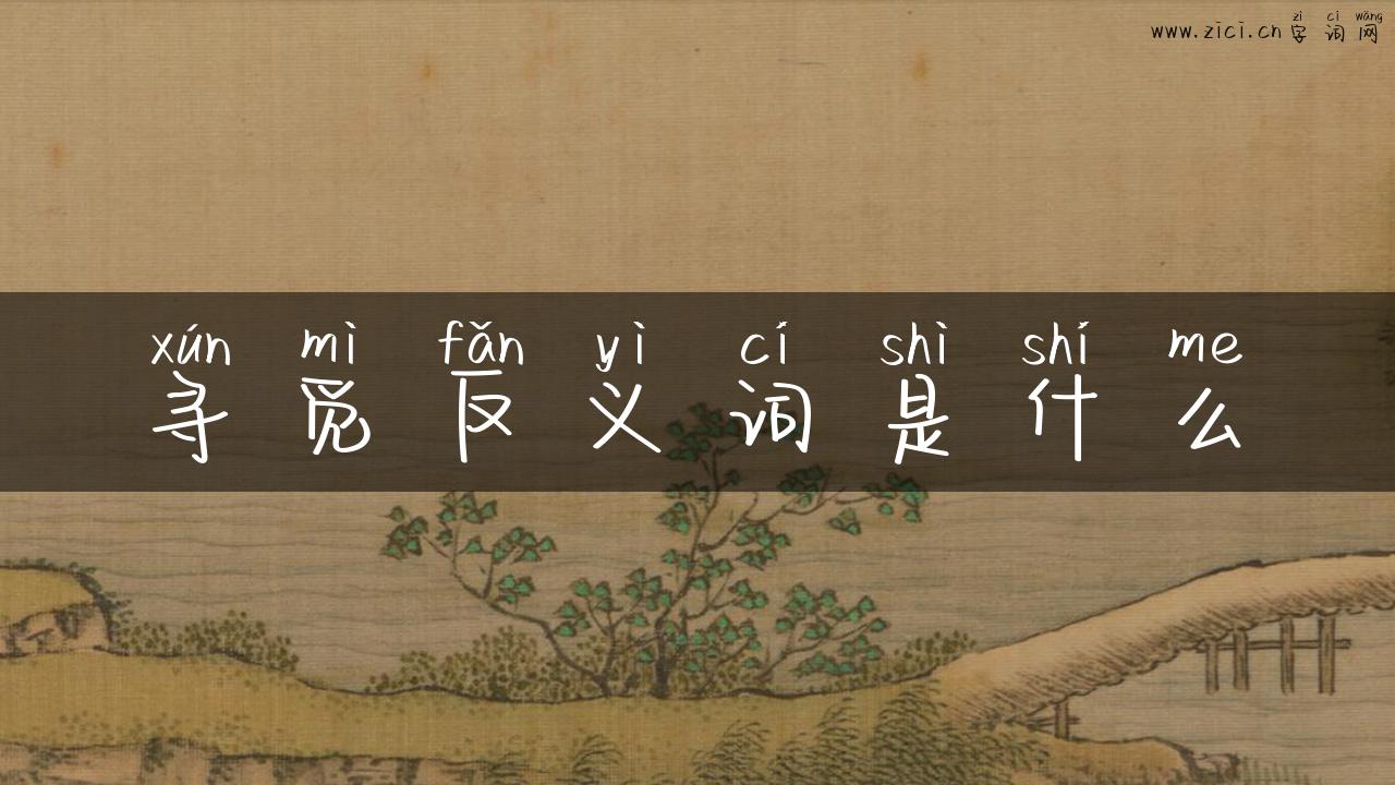 寻觅反义词是什么