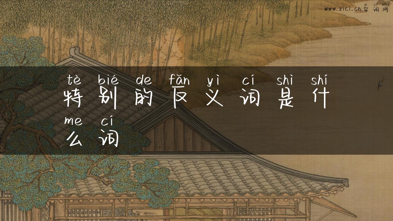 特别的反义词是什么词