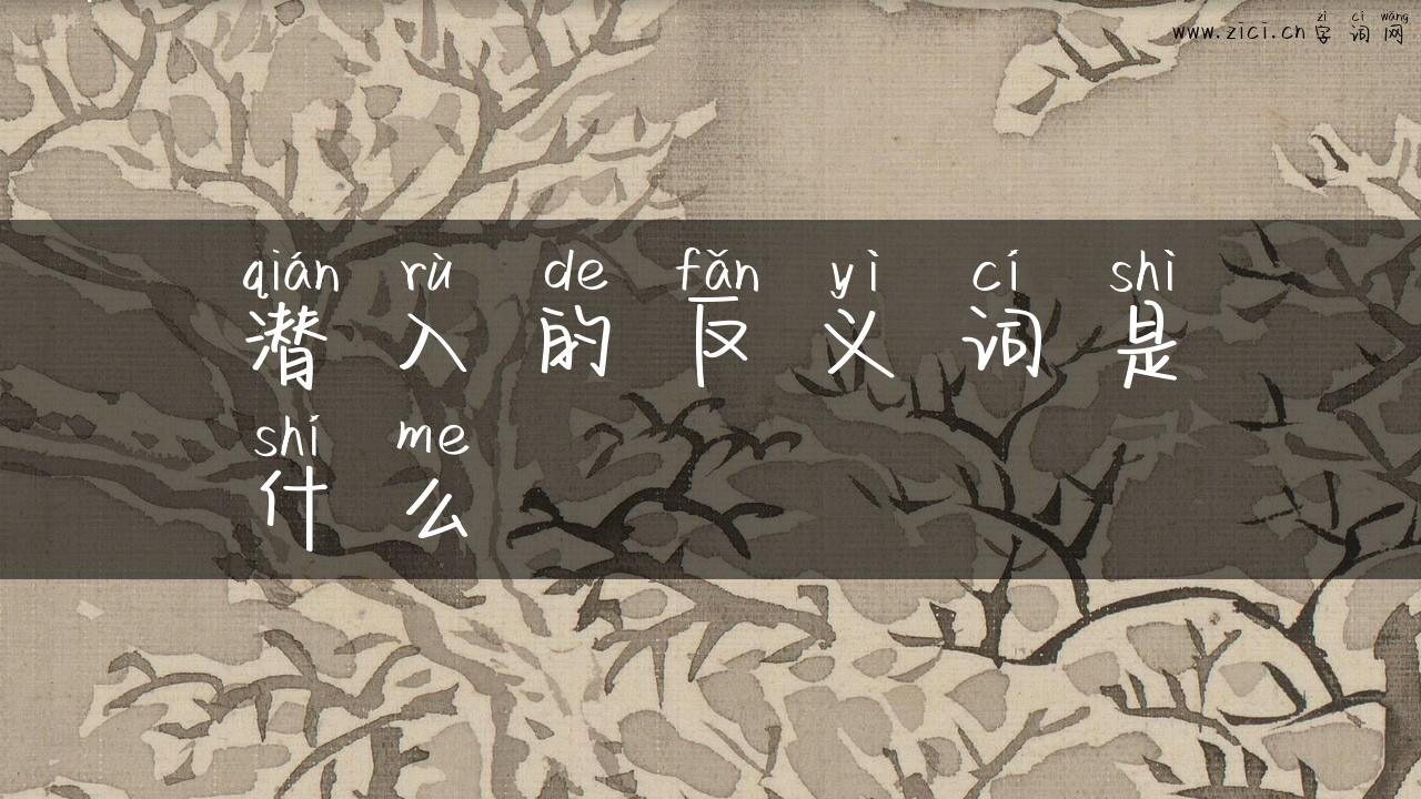 潜入的反义词是什么
