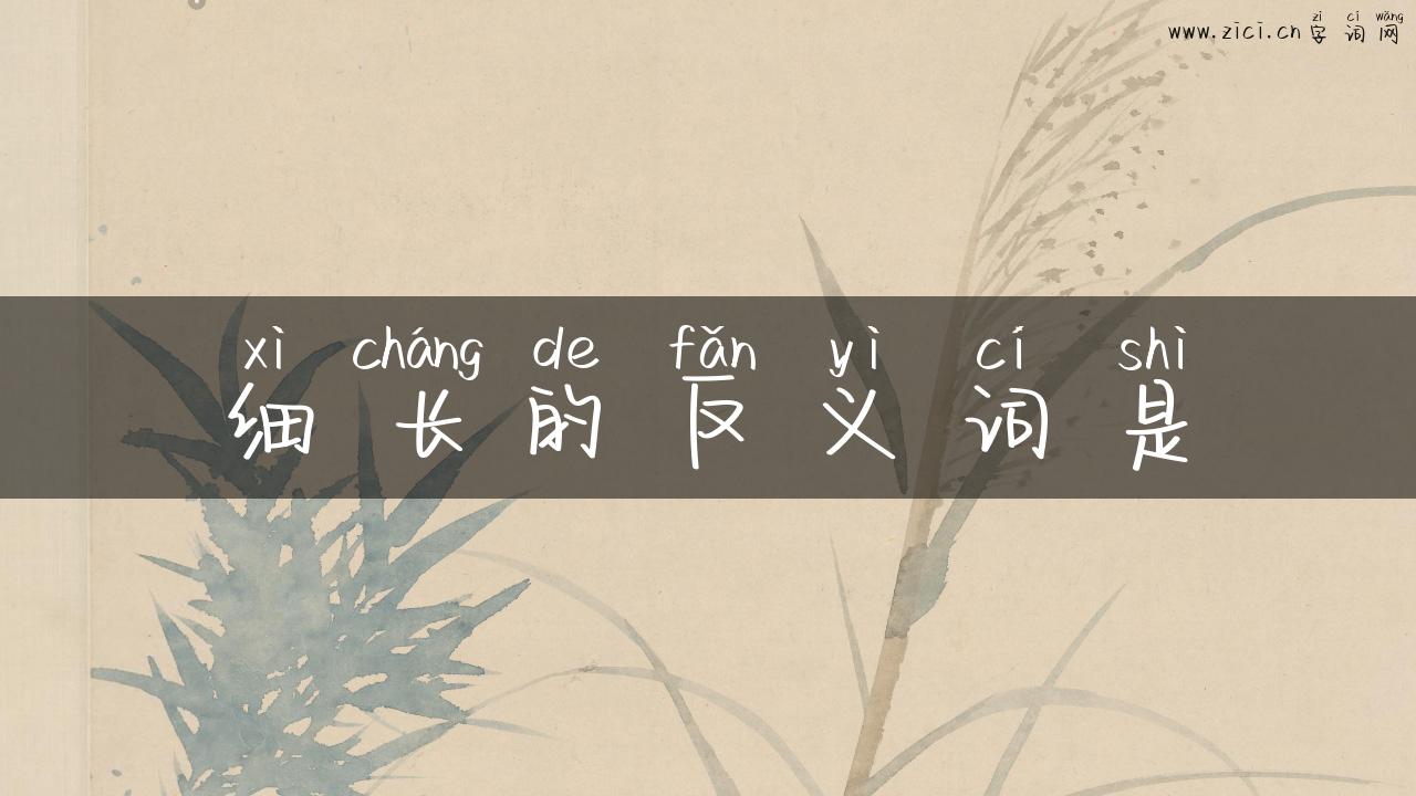 细长的反义词是