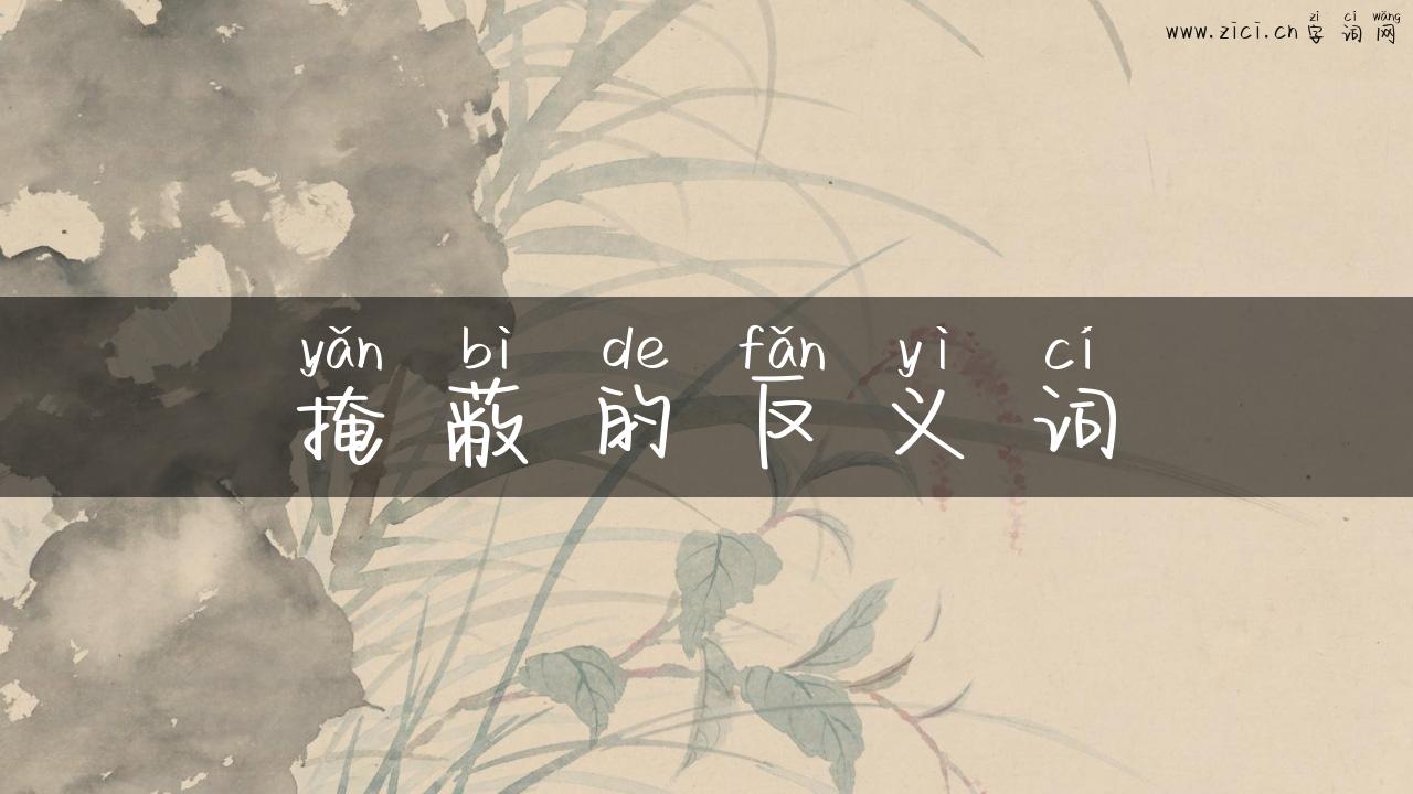 掩蔽的反义词