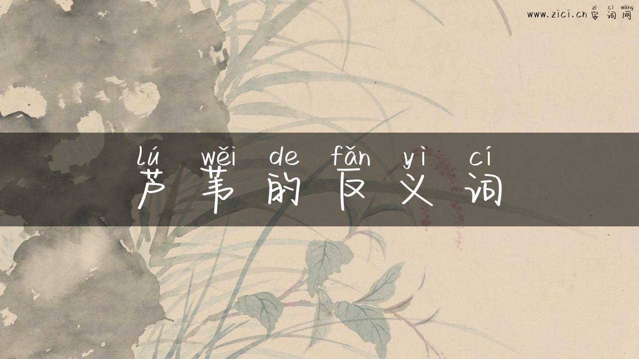 芦苇的反义词