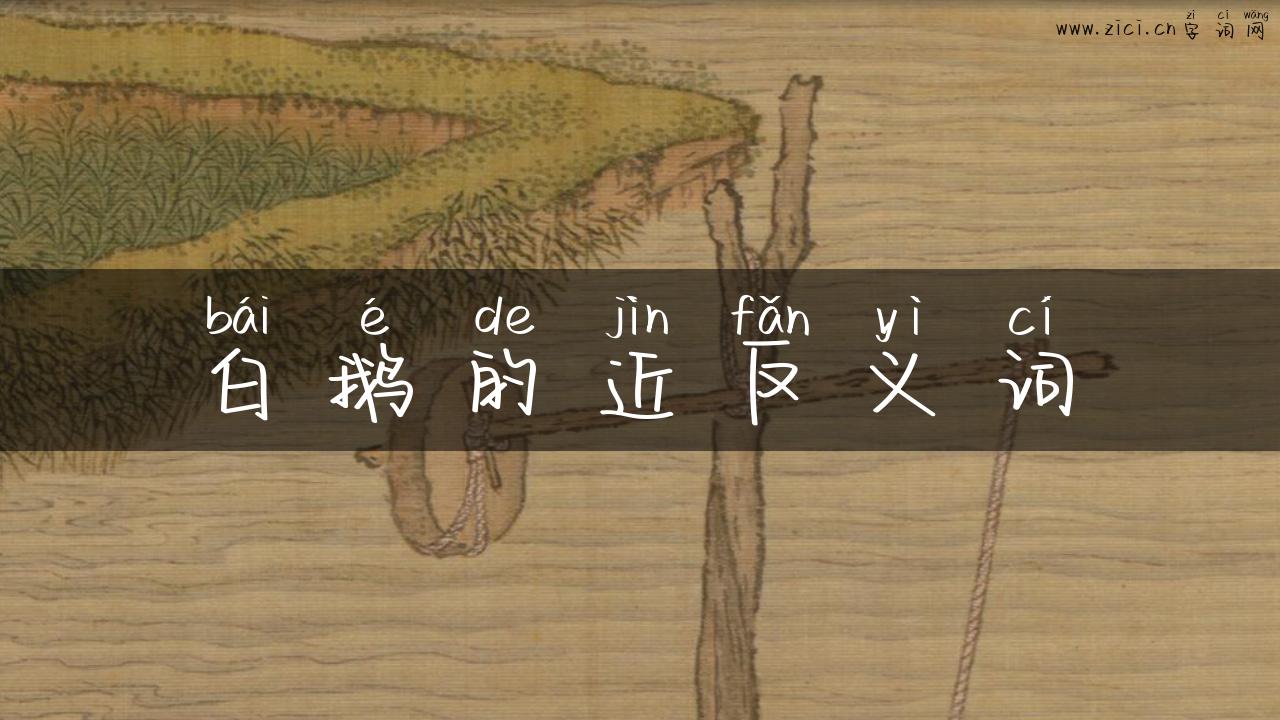 白鹅的近反义词