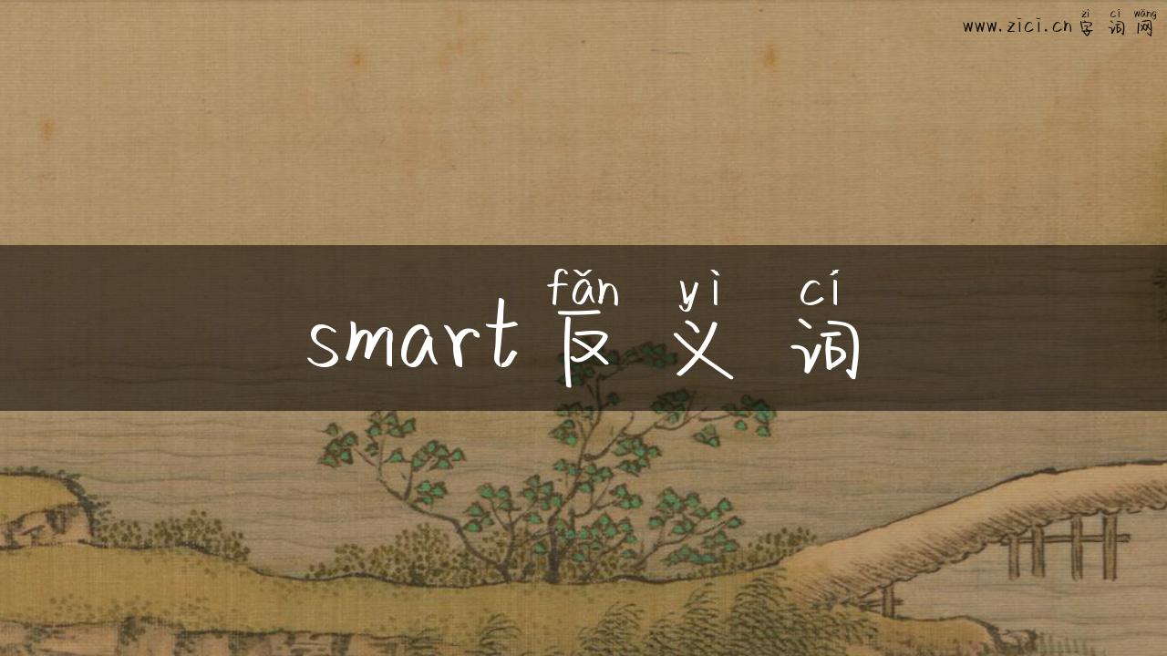 smart反义词