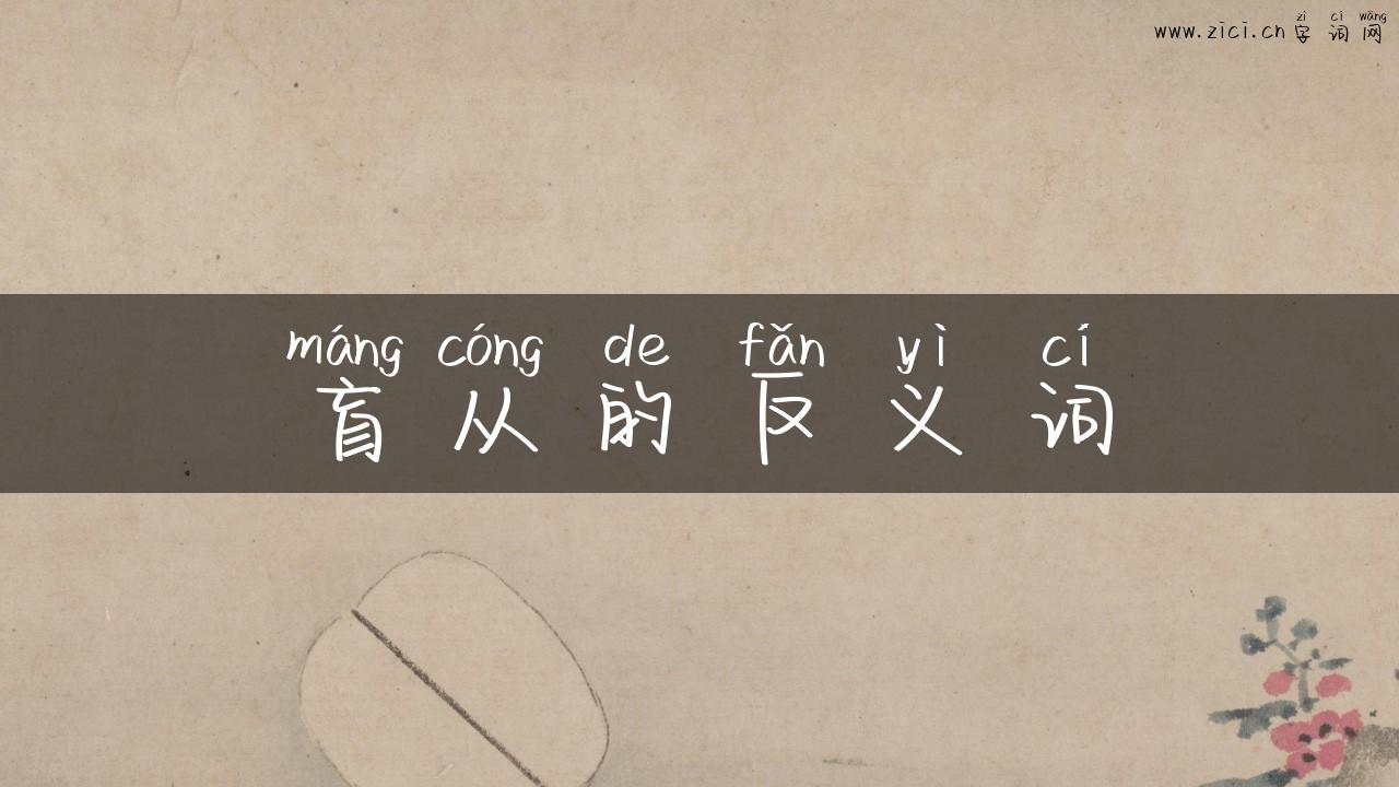 盲从的反义词