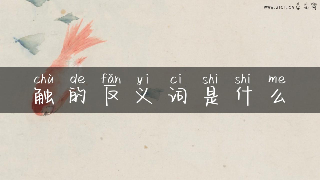 触的反义词是什么
