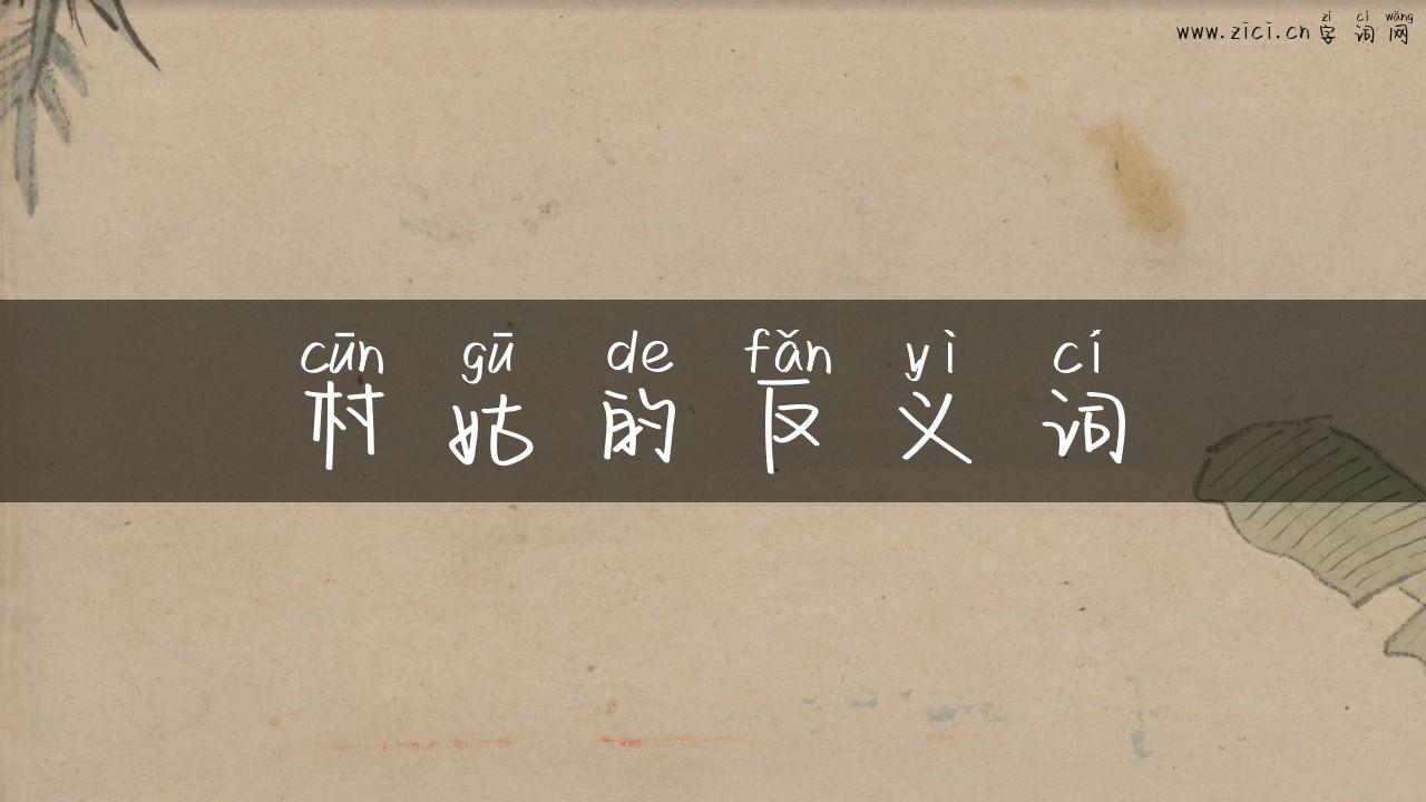 村姑的反义词