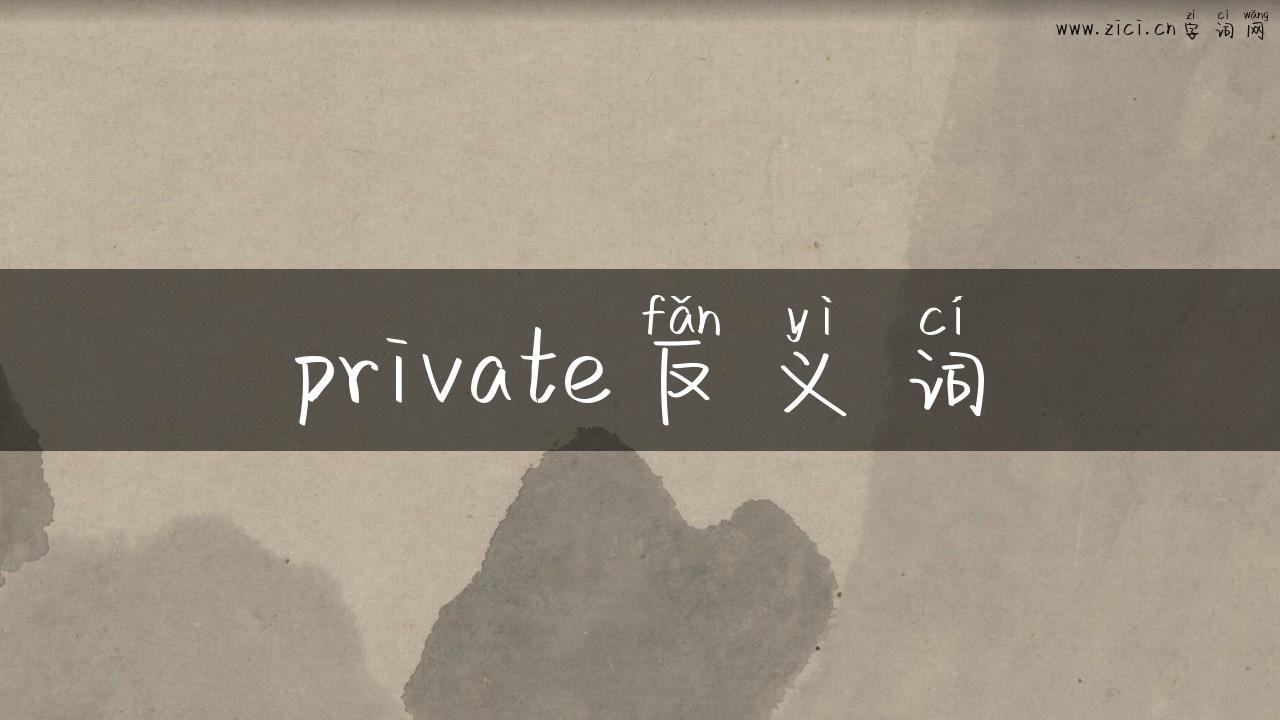 private反义词