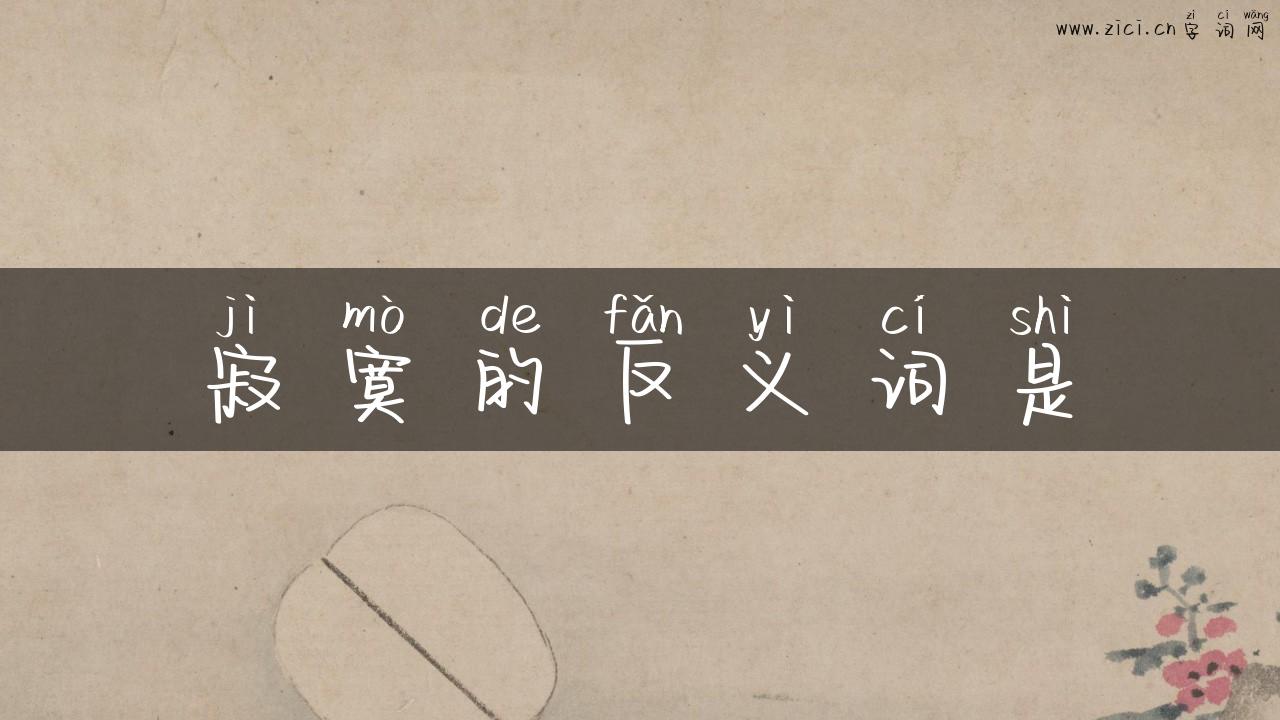 寂寞的反义词是