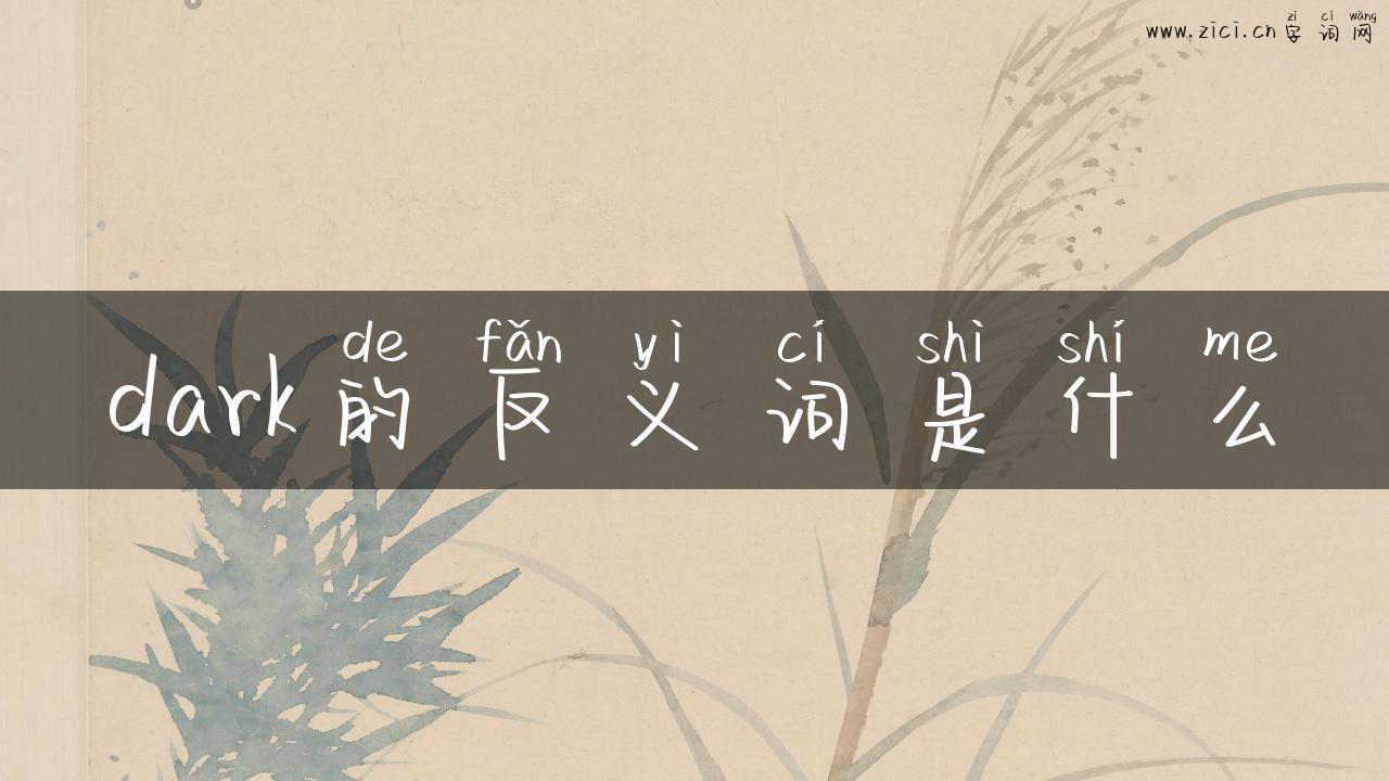 dark的反义词是什么