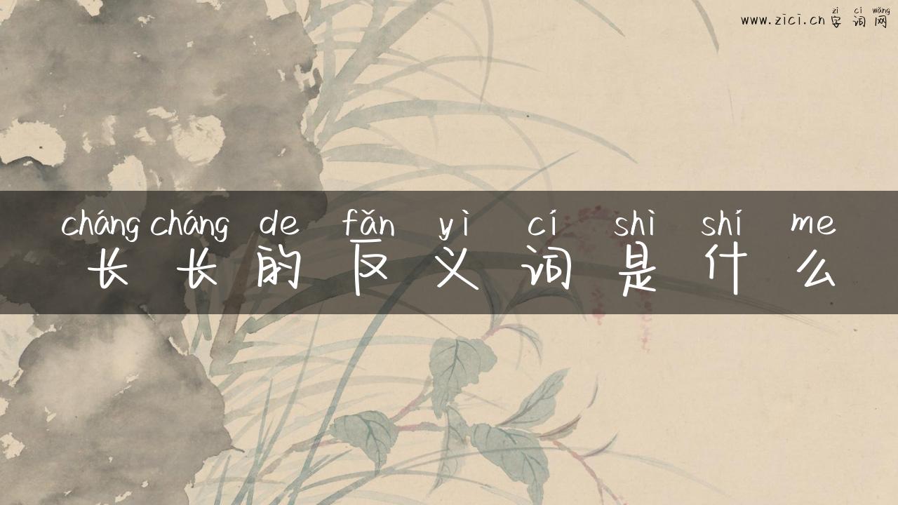 长长的反义词是什么