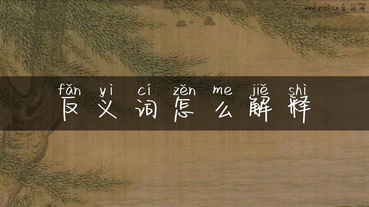 反义词怎么解释