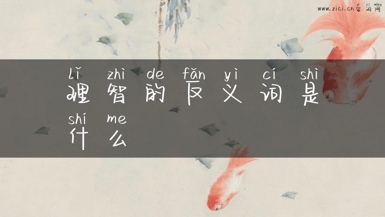理智的反义词是什么