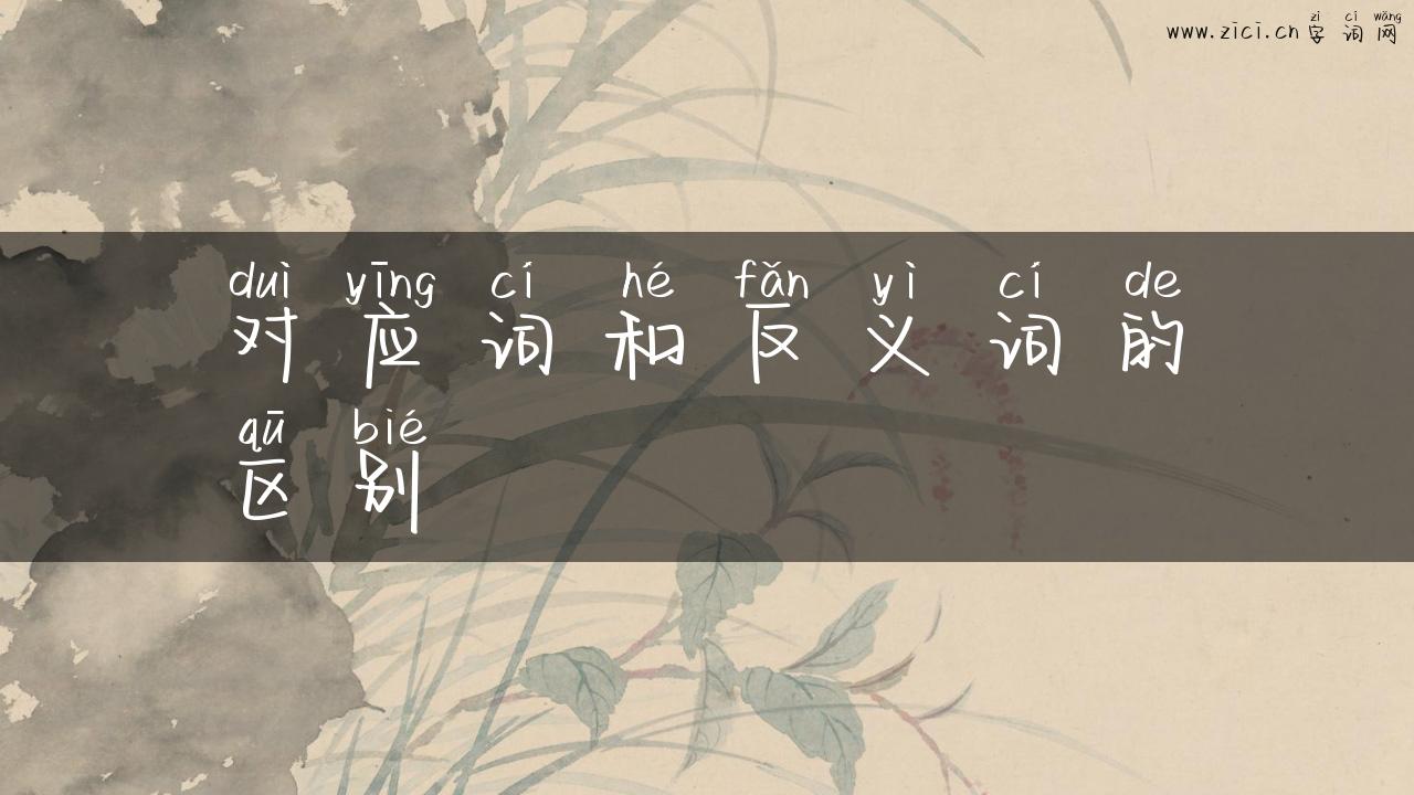 对应词和反义词的区别