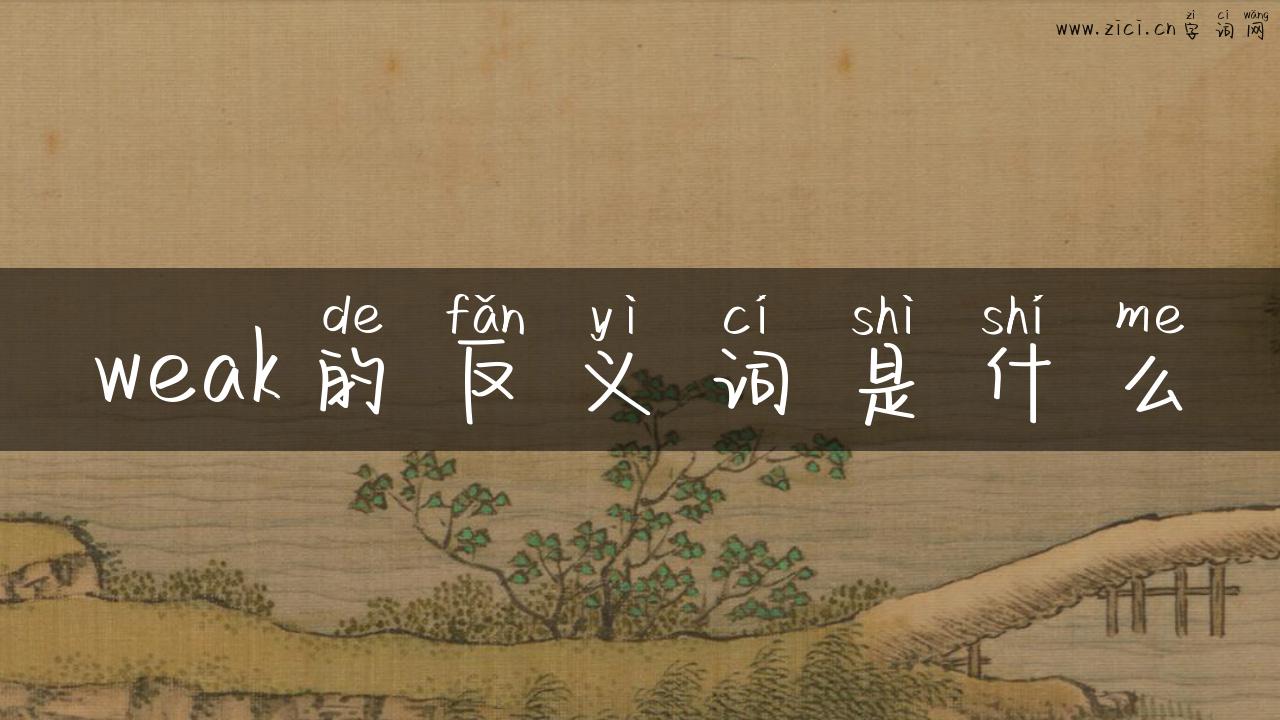 weak的反义词是什么
