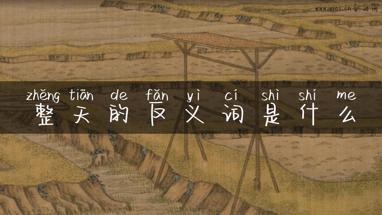 整天的反义词是什么