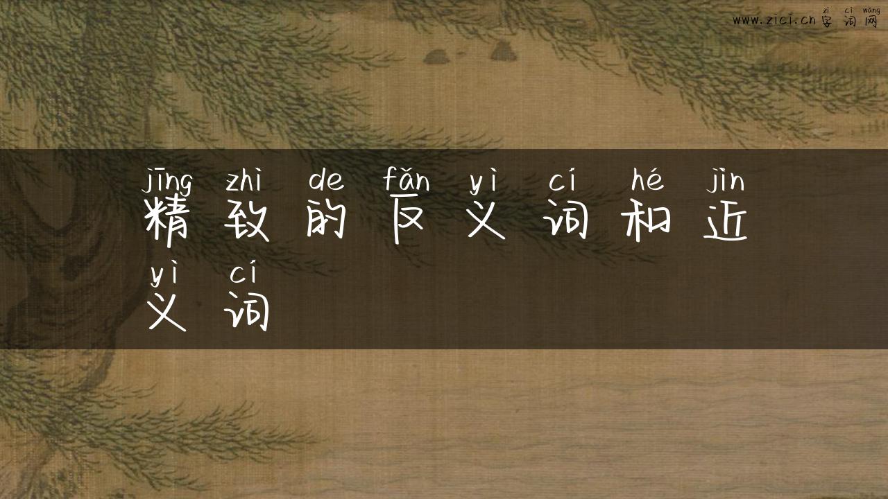 精致的反义词和近义词