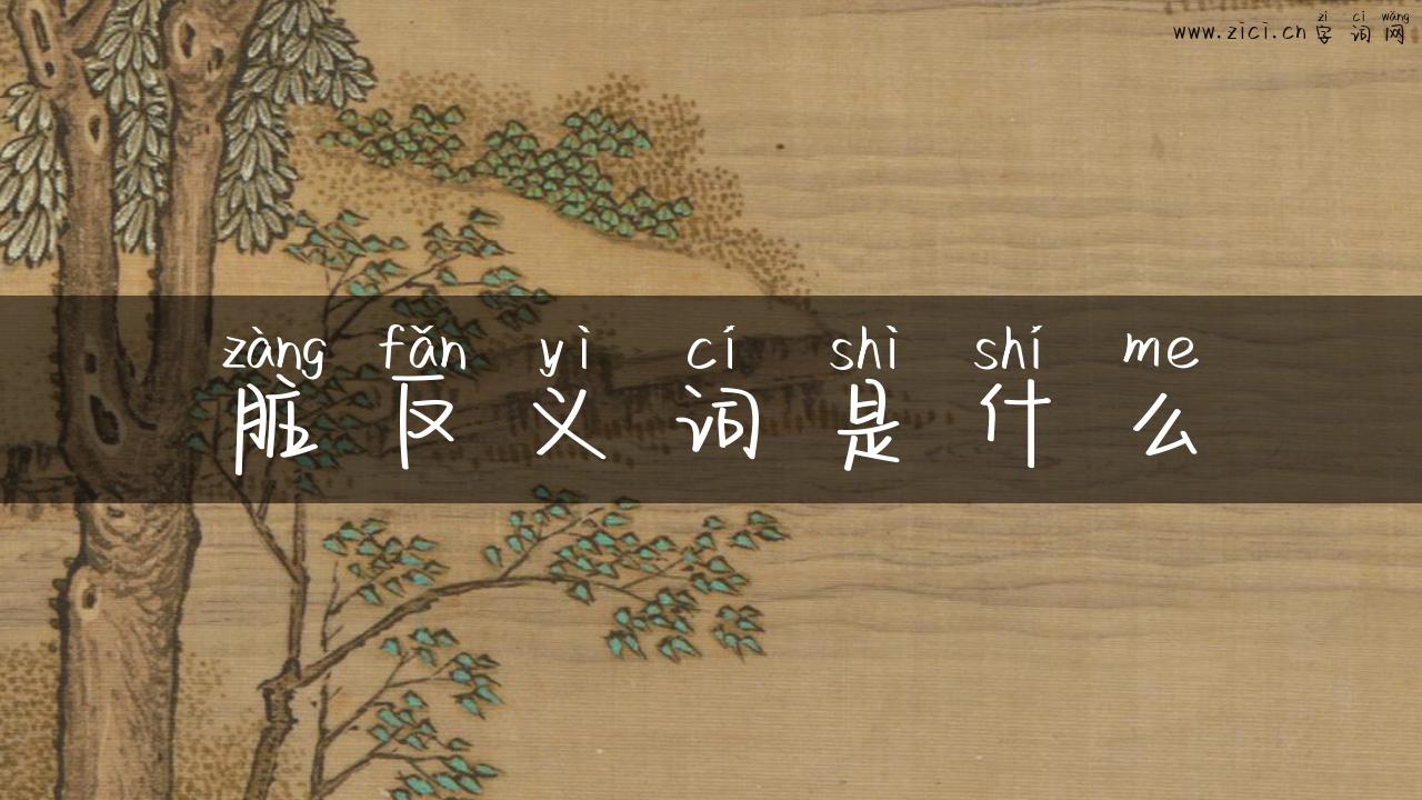 脏反义词是什么