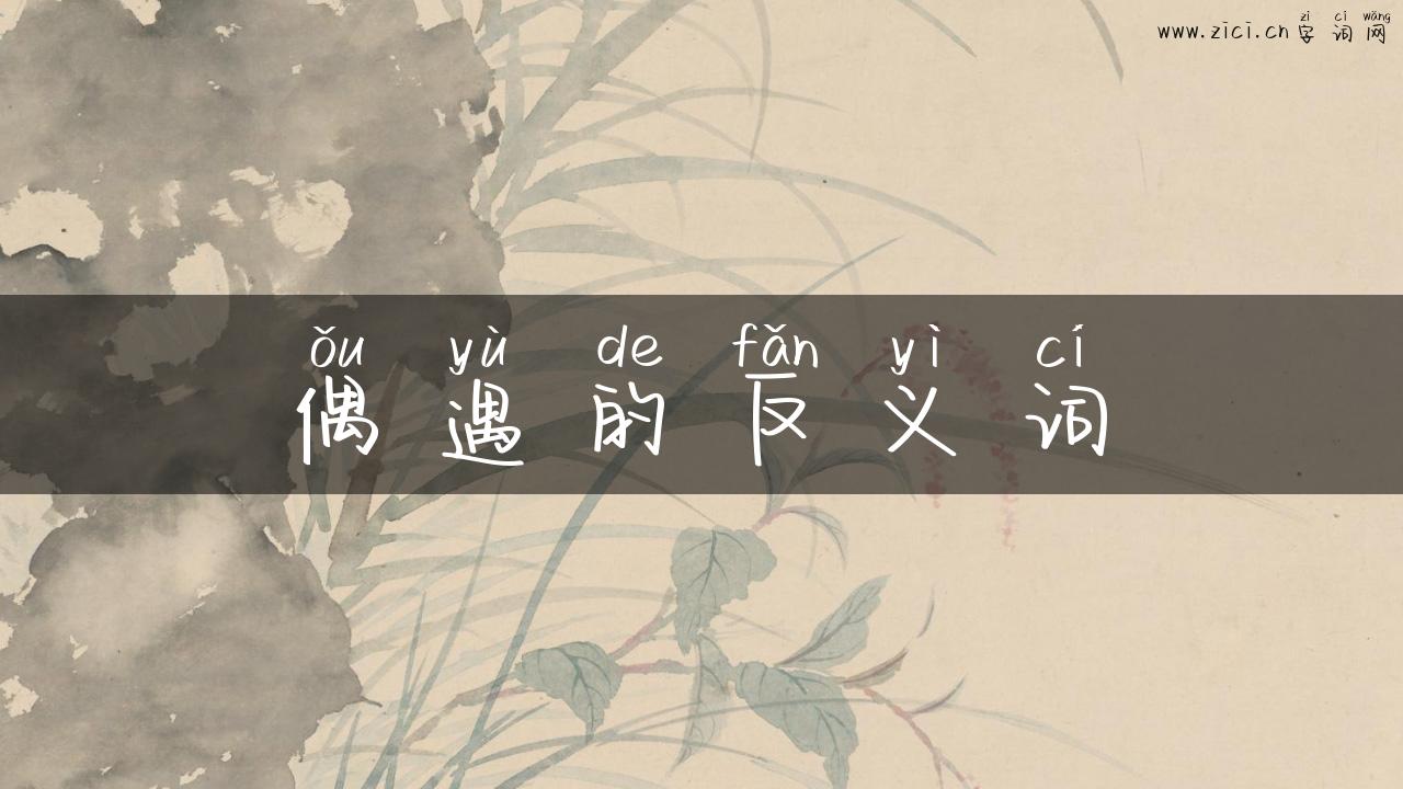 偶遇的反义词