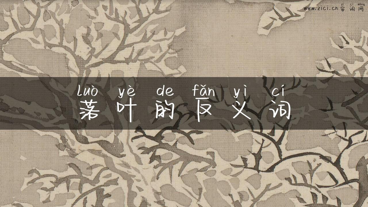 落叶的反义词