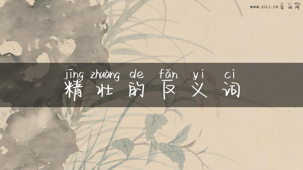 精壮的反义词