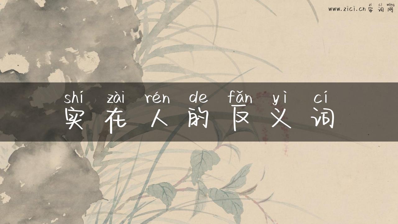 实在人的反义词