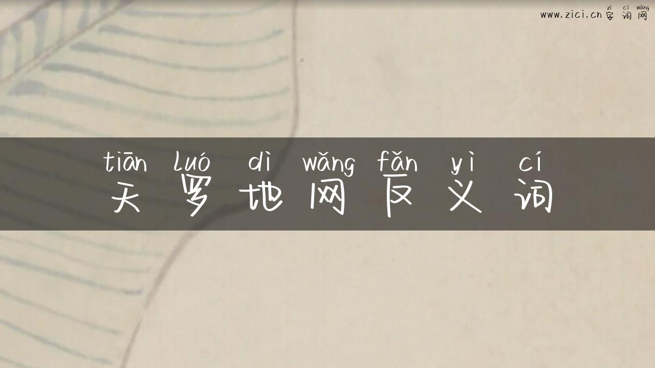 天罗地网反义词