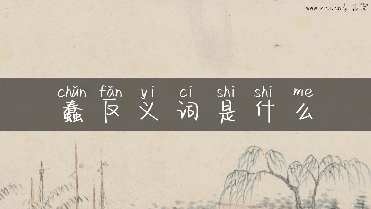 蠢反义词是什么