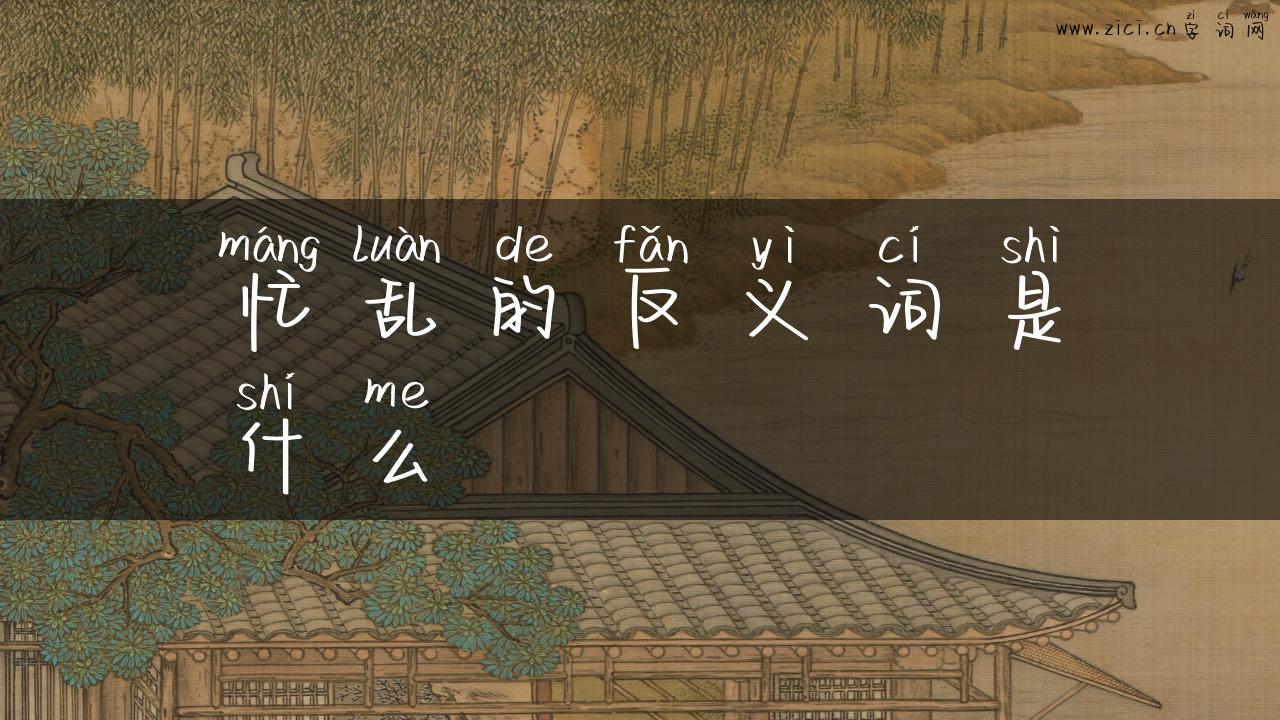 忙乱的反义词是什么